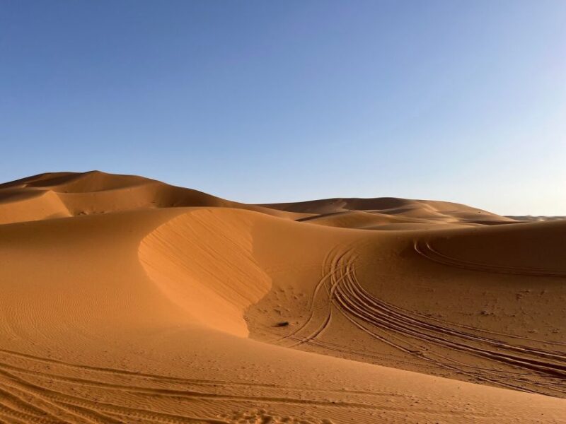 From Fes: 3-Day Luxury Desert Tour to Marrakech via Merzouga - Customer Experience and Reviews