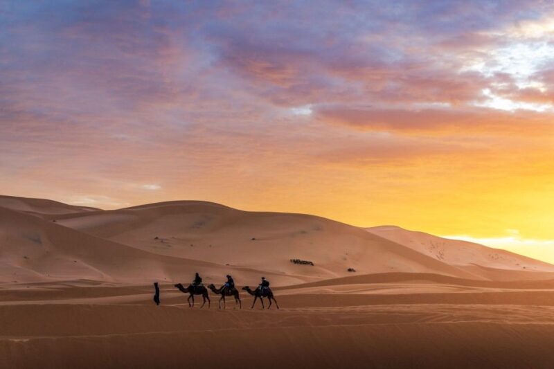 From Fes: 4-Day Desert Tour to Marrakech - Inclusions