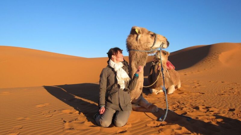 From Fes : 7 Days Desert Tours to Marrakech - Experience and Cultural Immersion