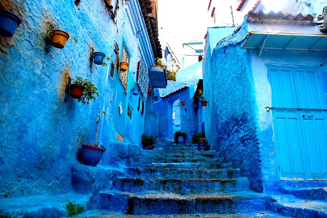 From Fes Chefchaouen Day Trip Discover the Blue City - Traveler Reviews and Ratings