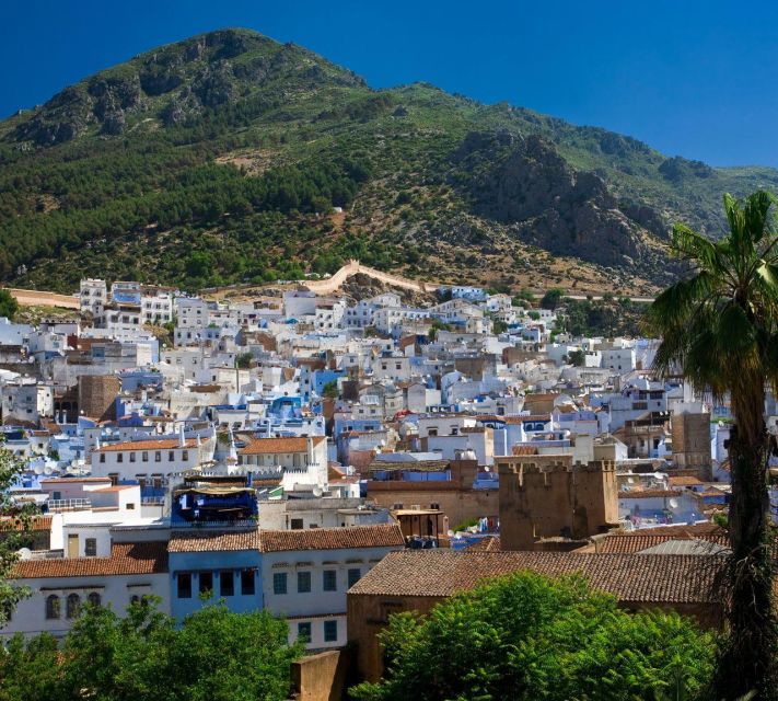 From Fes: Day Trip to The Blue City Chefchaouen - What to Expect