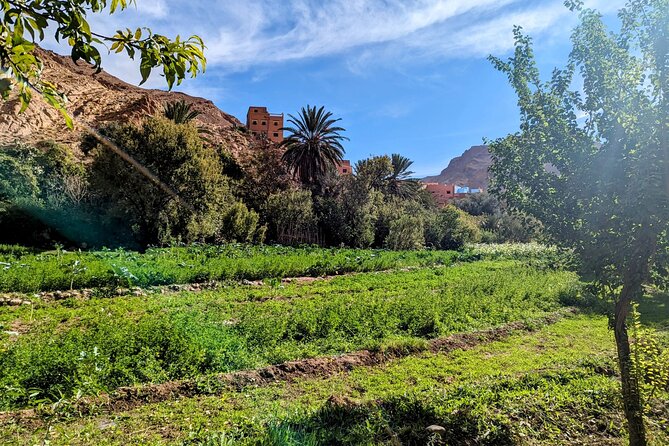 From Fes to Marrakech : 3 Days Tour via the Desert of Merzouga - Itinerary and Activities