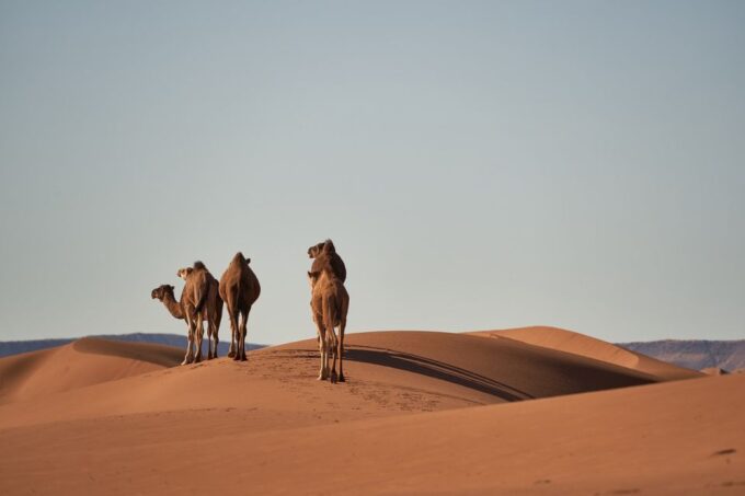 From Fes to Marrakech Through Atlas Mountians and Sahara - Frequently Asked Questions