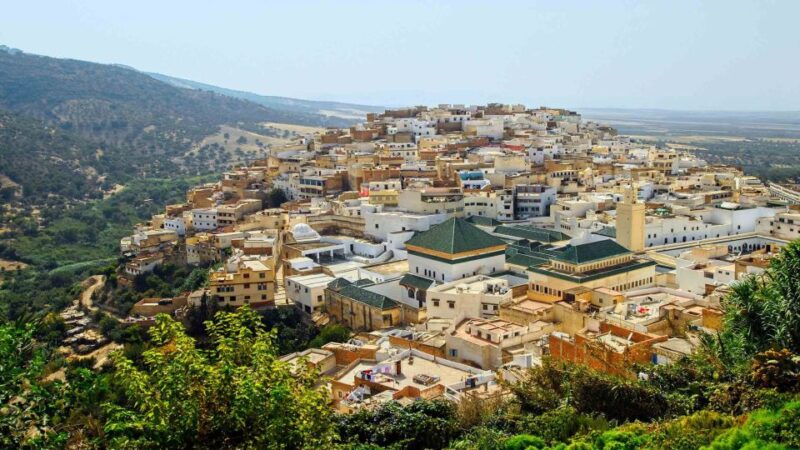 From Fes: Volubilis and Meknes Day Trip - Destinations