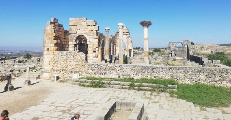 From Fes: Volubilis, Moulay Idriss, and Meknes Day Trip - Discover Volubilis Roman Ruins