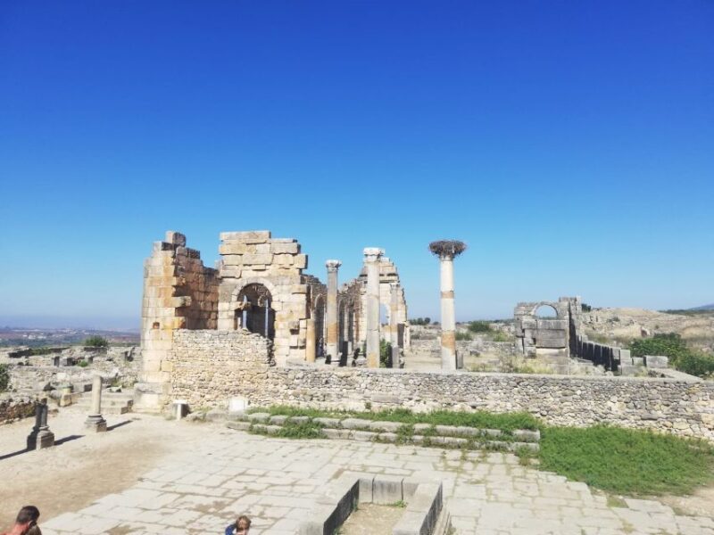 From Fes: Volubilis, Moulay Idriss, and Meknes Day Trip - Visit Historic Meknes Attractions