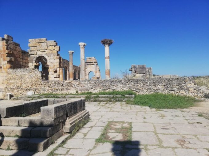 From Fes: Volubilis, Moulay Idriss, and Meknes Day Trip - Multilingual Guide and Driver Included