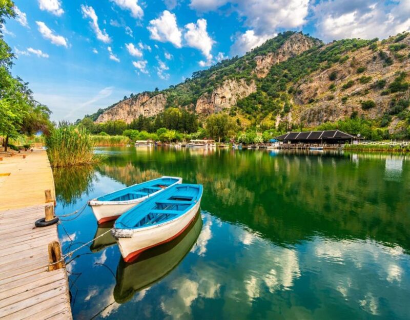 From Fethiye: Dalyan Day Trip With Mud Bath and Turtle Beach - Key Points