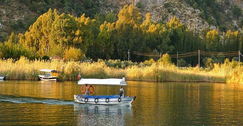 From Fethiye: Dalyan Day Trip With Mud Bath and Turtle Beach - Day Trip Itinerary