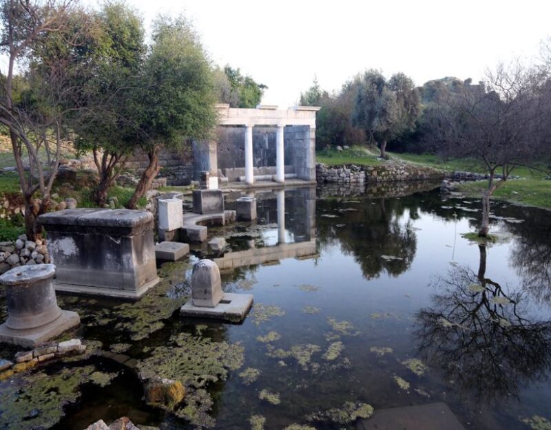 From Fethiye: Dalyan Day Trip With Mud Bath and Turtle Beach - Mud Bath Experience