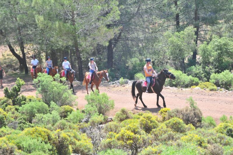 From Fethiye: Horse Riding Adventure - Included in the Tour