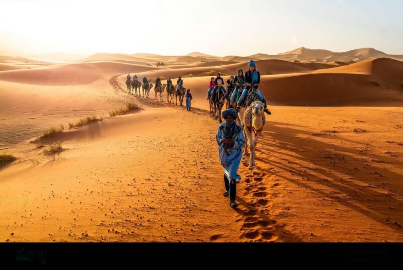 From Fez: 2-Day Sahara Desert Tour, Uncluding Merzouga Camp - Itinerary Highlights