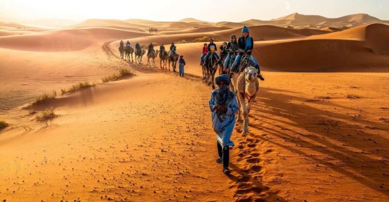 From Fez: 2-Day Sahara Desert Tour, Uncluding Merzouga Camp - Customer Ratings and Reviews