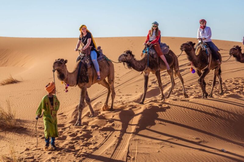 From Fez: 2-Days Desert Tour to Marrakech via Merzouga - Itinerary Highlights