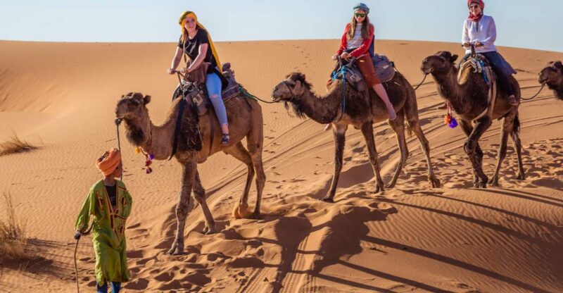 From Fez: 2-Days Desert Tour to Marrakech via Merzouga - Scenic Journey