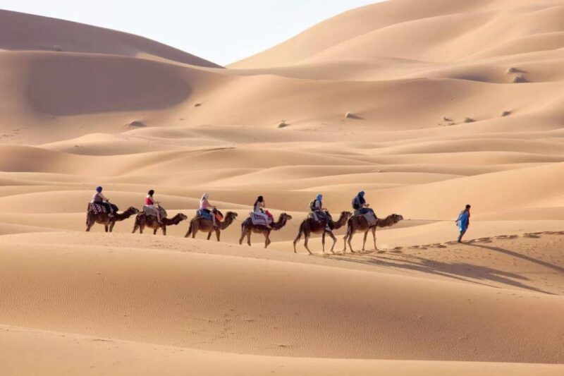 From Fez: 3-Day Sahara Desert and Marrakech Tour - Detailed Itinerary