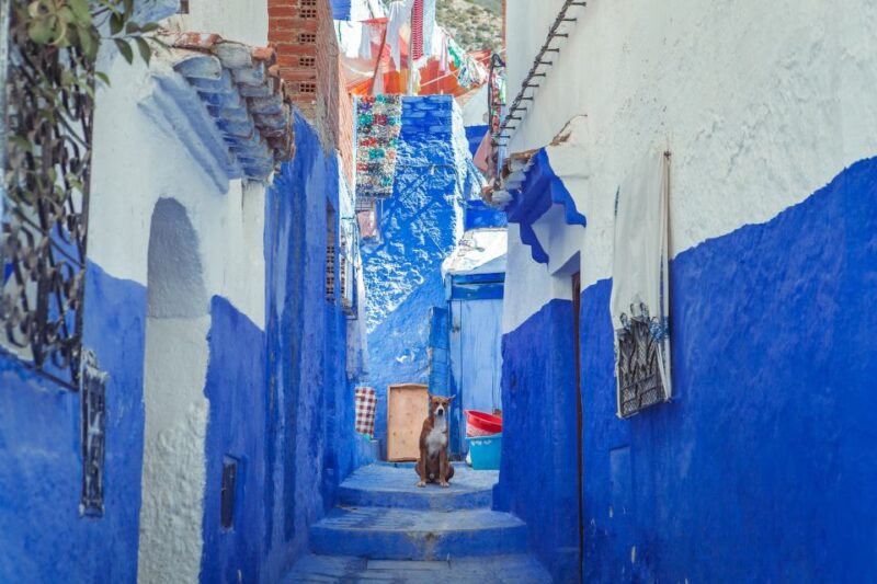 From Fez: Chefchaouen Full-Day Trip - Transportation and Accessibility