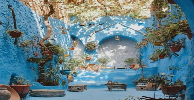 From Fez: Chefchaouen Guided Day Tour - Experience and Cultural Immersion
