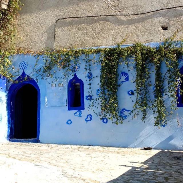 From Fez : Memorable Day Trip to Chefchaouen the Blue City - Itinerary Highlights