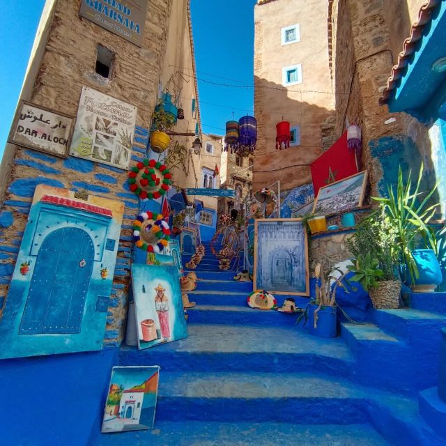 From Fez : Memorable Day Trip to Chefchaouen the Blue City - Customer Feedback