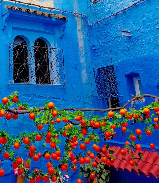 From Fez : Memorable Day Trip to Chefchaouen the Blue City - What to Expect