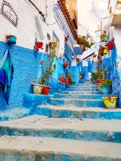 From Fez : Memorable Day Trip to Chefchaouen the Blue City - Booking and Cancellation