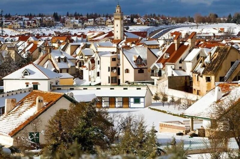 From Fez: Middle Atlas Ifran and Forest of Monkeys Day Trip - Key Points