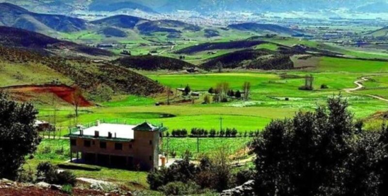 From Fez: Middle Atlas Ifran and Forest of Monkeys Day Trip - Itinerary Highlights