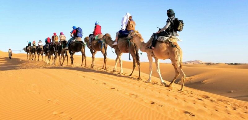 From Fez: Round-Trip Overnight Merzouga Desert Tour - Key Points