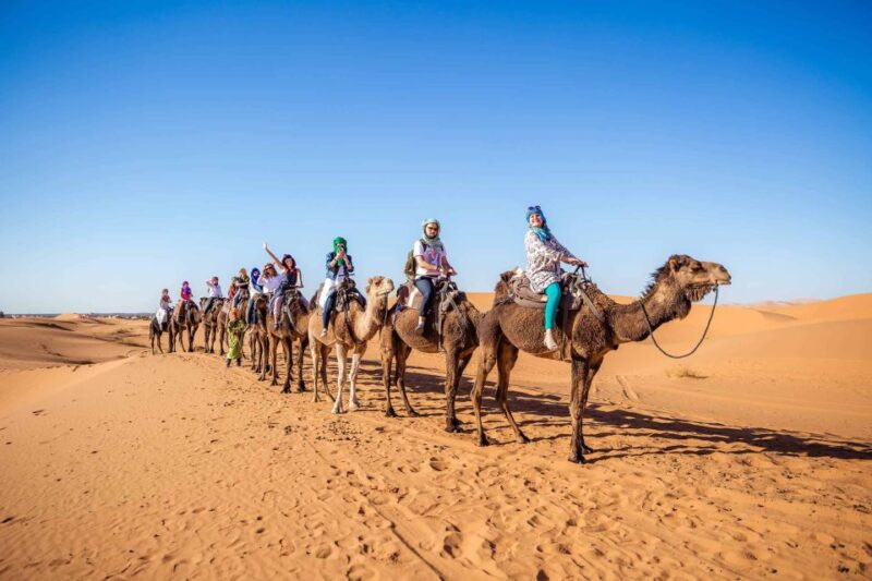 From Fez: Sahara Desert 2-Day Tour With Merzouga Camp Stay - Key Points