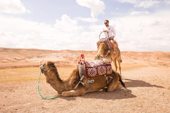 From Fez: Sahred 3 Days and 2 Nights to Marrakech - Experiences and Activities