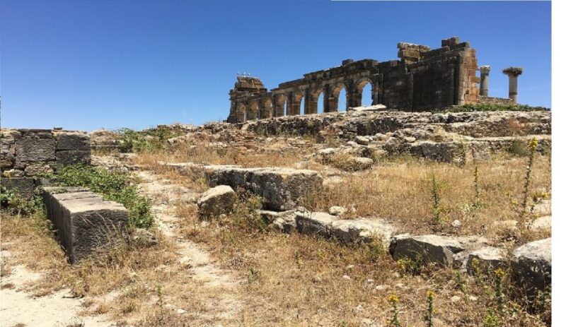 From Fez: Volubilis Moulay Idriss & Meknes Full-Day Trip - Itinerary Highlights
