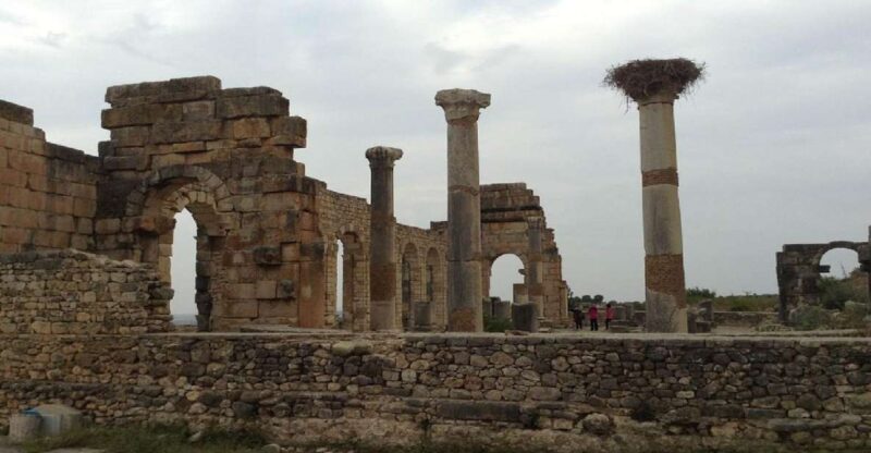 From Fez: Volubilis Moulay Idriss & Meknes Full-Day Trip - Transportation and Inclusions