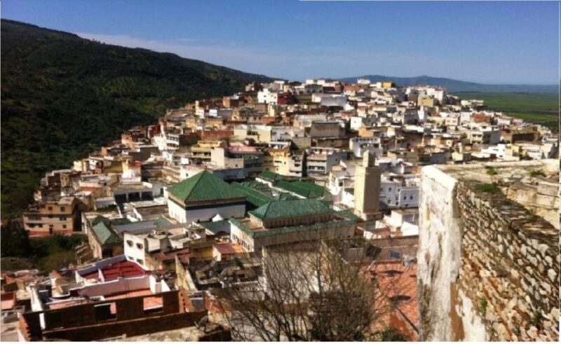 From Fez: Volubilis Moulay Idriss & Meknes Full-Day Trip - Booking Information