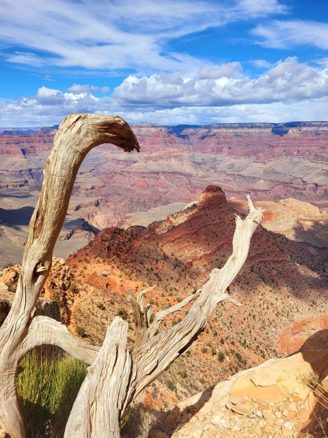 From Flagstaff: Private Grand Canyon National Park Tour - Pick-up and Drop-off