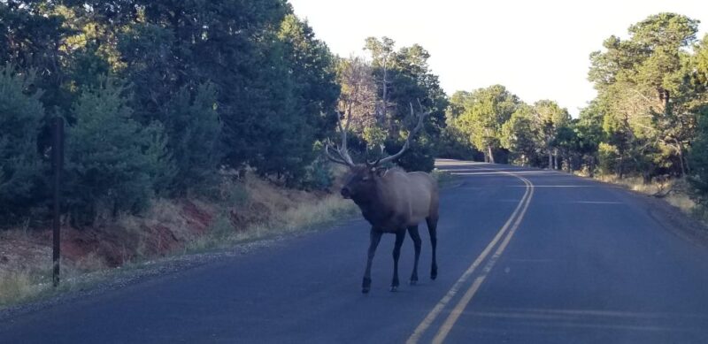 From Flagstaff: Private Grand Canyon National Park Tour - Cancellation and Refunds