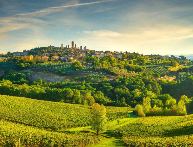 From Florence: Best of Tuscany Small Group Sunrise Tour - Key Points