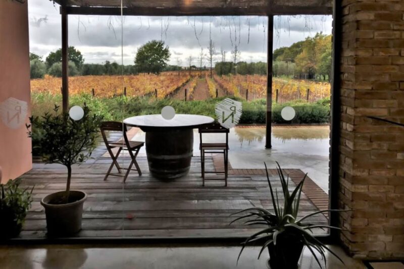 From Florence: Bolgheri Full Day Wine Tour - Key Points