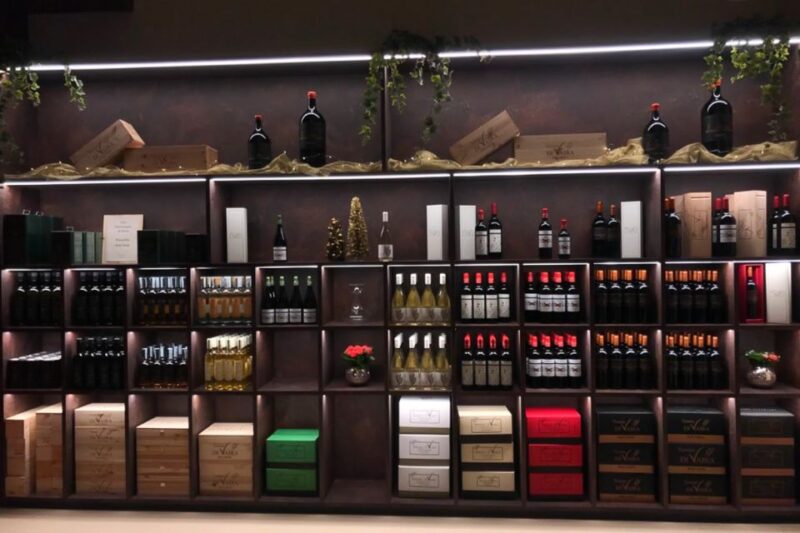 From Florence: Bolgheri Full Day Wine Tour - Itinerary Details