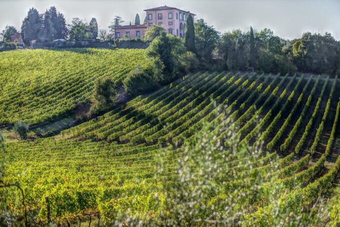 From Florence: Bolgheri Full Day Wine Tour - Activities and Inclusions