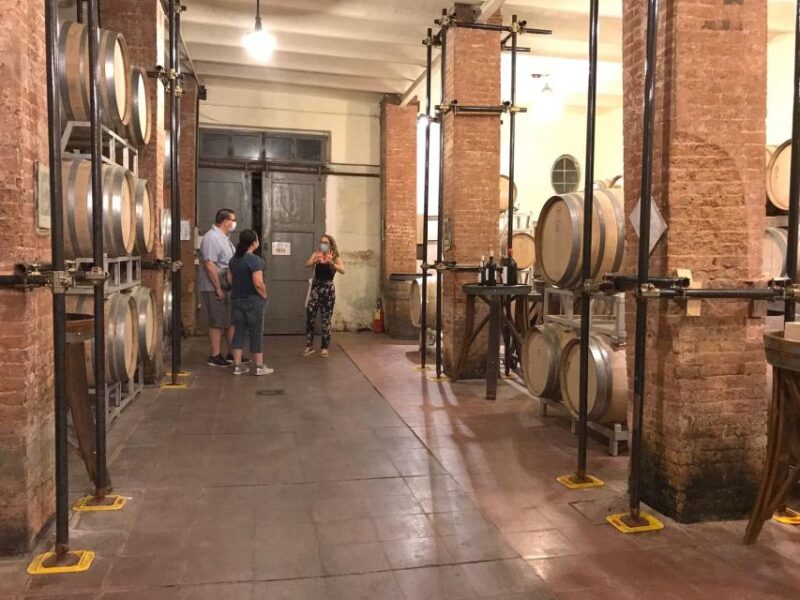 From Florence: Carmignano Half-Day Wine and Food Tour - Wine and Olive Oil Experience