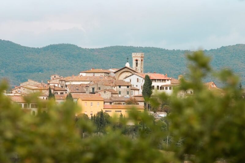 From Florence: Chianti Hills Wineries Tour With Tasting - Customer Feedback