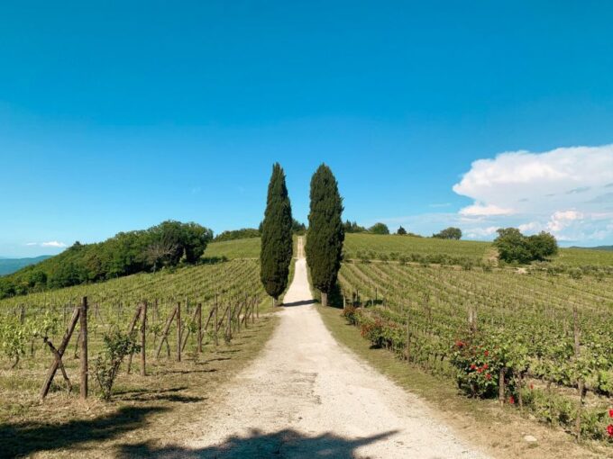 From Florence: Chianti Hills Wineries Tour With Tasting - Wineries Visited
