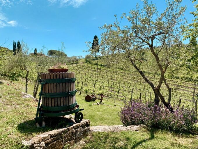 From Florence: Chianti Hills Wineries Tour With Tasting - Pickup and Drop-off