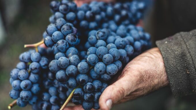 From Florence: Chianti Hills Wineries Tour With Tasting - Frequently Asked Questions