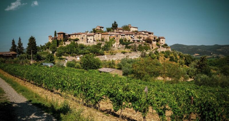 From Florence: Chianti Self-Guided Vespa Tour With Lunch - Participant Requirements