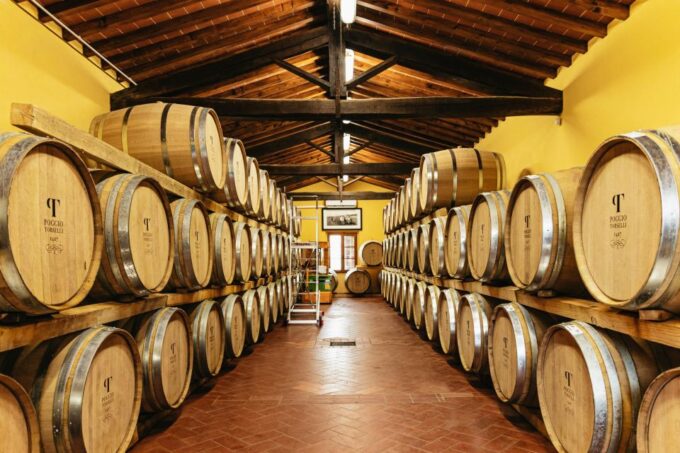 From Florence: Chianti Wine and Food Tasting Safari - Participant Suitability