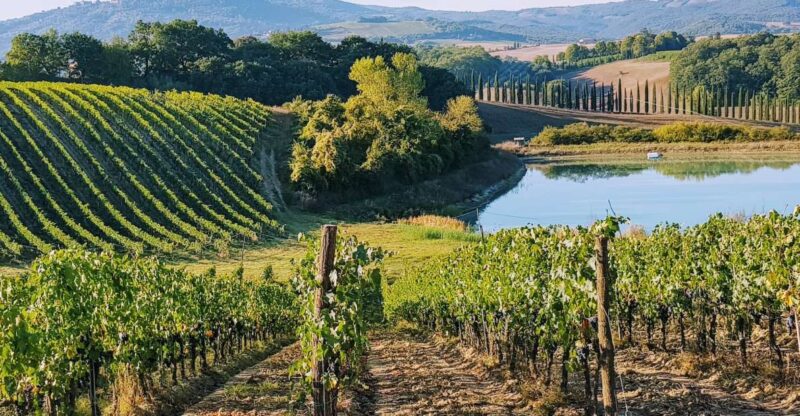 From Florence: Chianti Wine Tastings at Sunset Day Trip - Highlights of the Experience