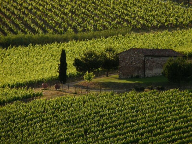 From Florence: Chianti Wine Tastings at Sunset Day Trip - Itinerary and Activities