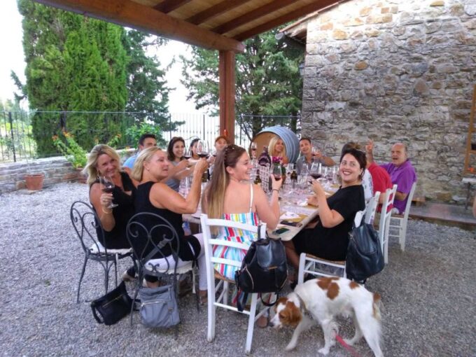 From Florence: Chianti Wine Tastings at Sunset Day Trip - Participant Information